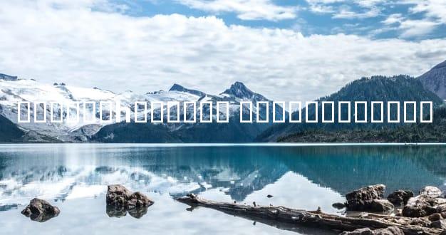 ������һ�����Ǯ �۸��౳�������